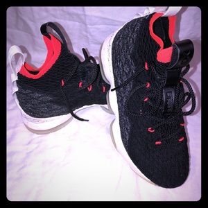 LeBron 15s